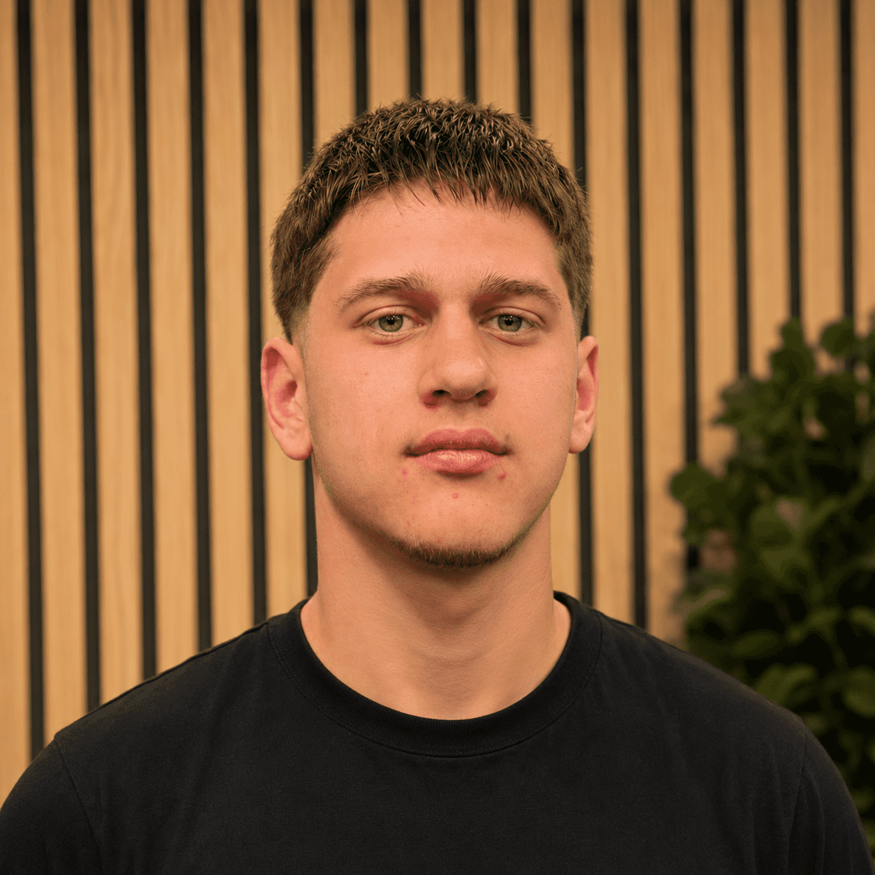 Max Dalke, Gründer Copystudioweb